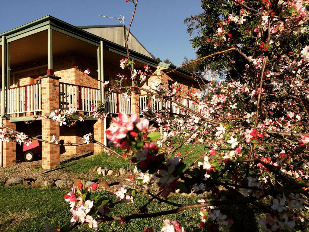 บริน แกลส บีแอนด์บี Villa โมรูยา ภายนอก รูปภาพ